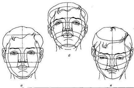 Малювання голови за схемами - студопедія