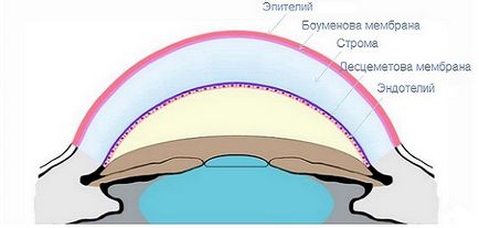 Corneea ochiului - structura și funcția