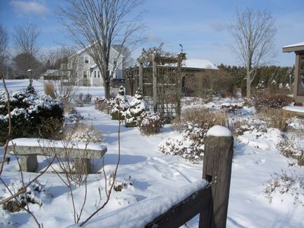 Garden a templomban