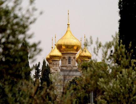 Grădină la Templu