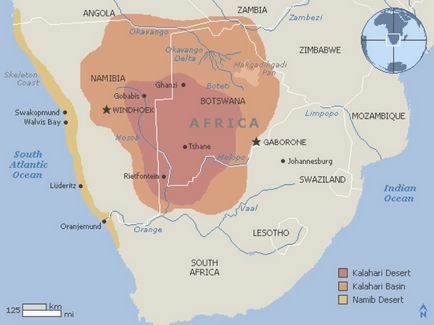 Cel mai mare deșert al lumii, wikimost