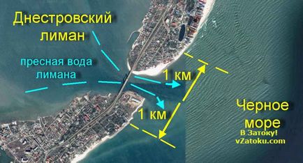 Саме прісне море в затоці де воно знаходиться