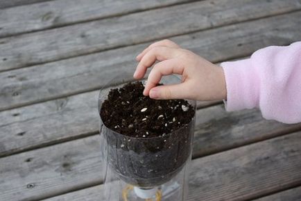 Self-humidifier - un dispozitiv pentru udare literare a materialului săditor, grădinar (gospodărie)