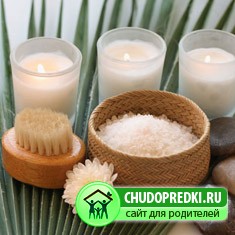Cukor cserjések (cukor cserje) cukor cserjések