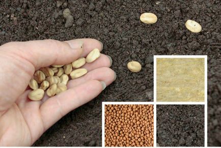 Seminte in diferite substraturi