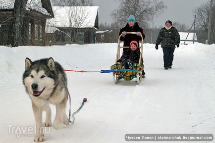 Észak-Hope látogató a szibériai husky és alaszkai malamut