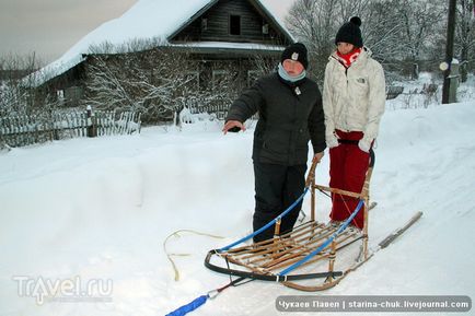 Speranța nordică este vizitarea malamutelor din Siria și a malamutelor din Alaska