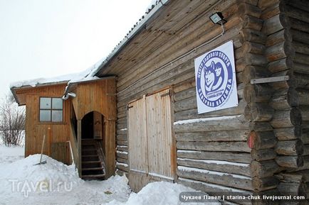 Speranța nordică este vizitarea malamutelor din Siria și a malamutelor din Alaska