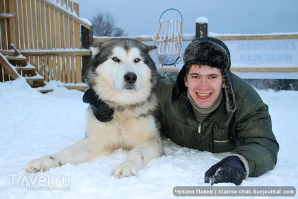 Észak-Hope látogató a szibériai husky és alaszkai malamut