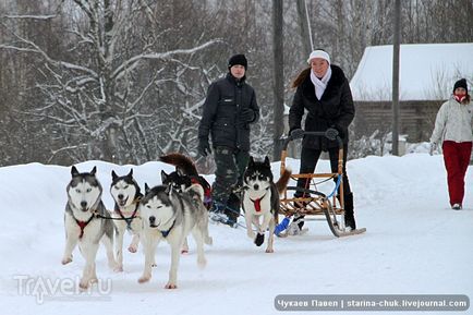 Speranța nordică este vizitarea malamutelor din Siria și a malamutelor din Alaska