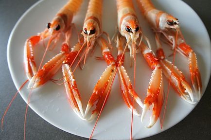 Scampi és langoustine