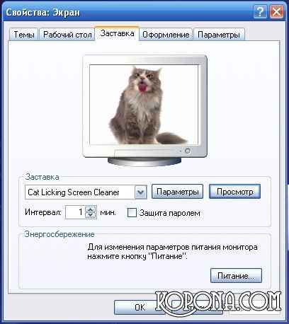 Скрінсейвер - кішка лиже екран - каталог фотошоп робіт, рамки для фото та шаблони для photoshop,