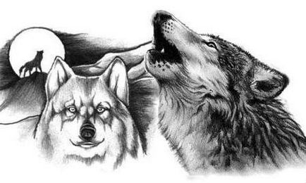 Собаки і вовки