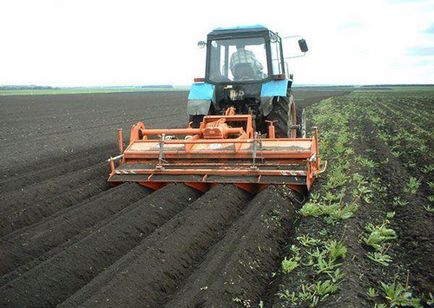 Agricultura proprie de făcut și cum să se deschidă