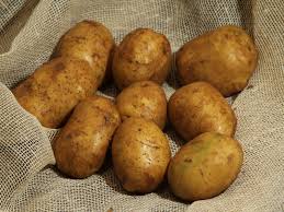 Сорти картоплі з жовтою м'якоттю фото і опис