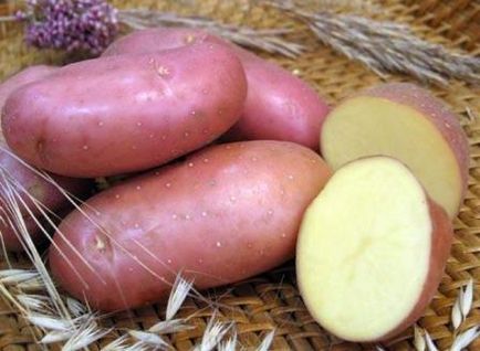 Soiuri de cartofi cu fotografie și descriere din carne galbenă