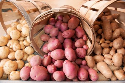 Поради про те, як вибрати якісну картоплю