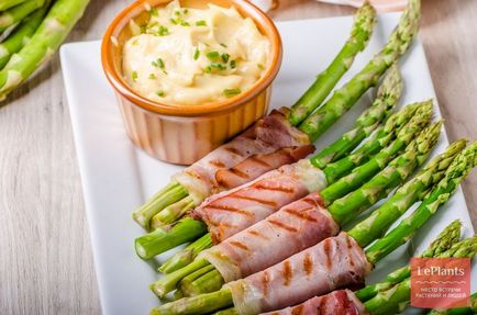 Спаржа (asparagus)