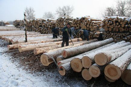 Casă de lemn - cum să alegeți cea potrivită