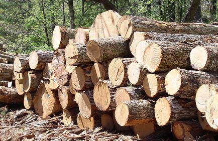 Casă de lemn - cum să alegeți cea potrivită