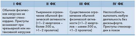 Стенокардія напруги 3 фк - що це таке, причини, симптоми, лікування, інвалідність,