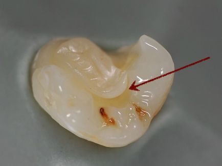 Dental Journal fogászati magazin (magazin) Dental Journal fogászati magazin