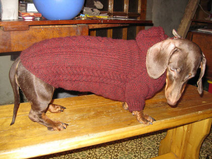 Dulciuri pentru dachshunds