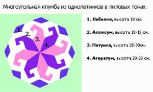 Схеми квітників однорічників-багаторічників для клумб своїми руками