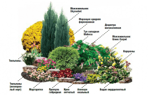 Scheme de paturi de flori perene perene pentru paturi de flori cu mâinile lor