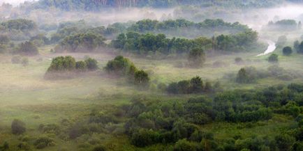 Сходненская чаша