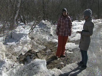 Terenul de înmormântare în masă a câinilor (18) - al patrulea canal