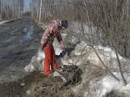 Terenul de înmormântare în masă a câinilor (18) - al patrulea canal