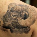 Татуювання барана значення, фото і ескізи