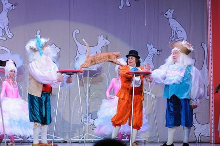Театр кішок в Якутську танцюючі кішки, балет і клоунада - mialley