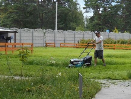 Послуги покосу трави низька вартість покосу тільки у нас