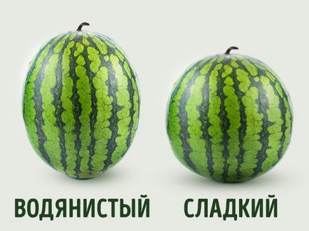Alegeți un pepene verde coapte și în conformitate cu regulile de bază, comandantul portalului de informații
