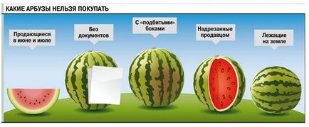Kiválasztása érett görögdinnye és biztonságos az alapvető szabályokat, információs portál parancsnok