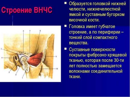 Разместване на долната челюст симптоми, лечение, методи за намаляване на дислокация на долната челюст