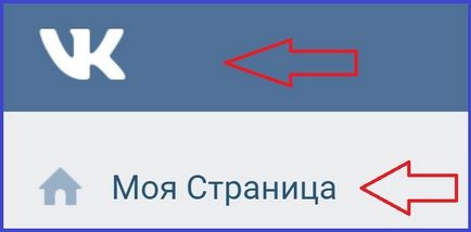 Vkontakte pagina mea - du-te direct la pagina ta