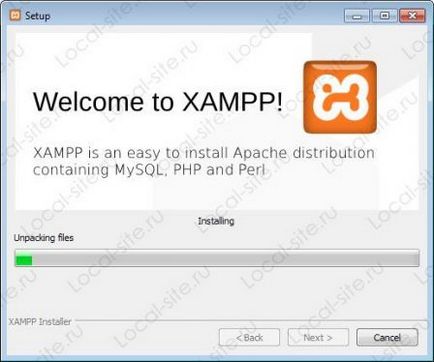 Instalarea serverului local Xampp, configurare