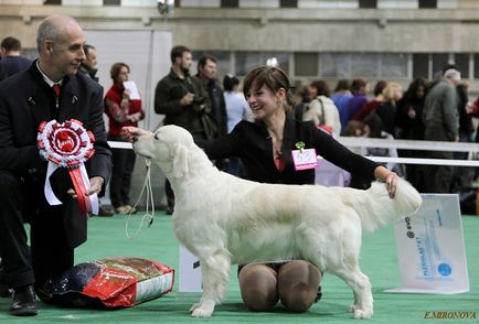 Handler - a szakma az állatok szerelmeseinek