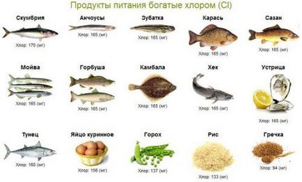 Хлор (ci) хімічні і фізичні властивості, вміст у продуктах і добова норма хлору