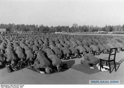 Mi Sztálin deportálták tatárok a Krím-félszigeten, ősök és leszármazottak, a múlt és a jövő (a szakma kínoztak) Mi Sztálin deportálták tatárok a Krím-félszigeten, ősök és leszármazottak, múlt és jövő