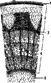 Sarcina a11