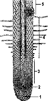 завдання а11