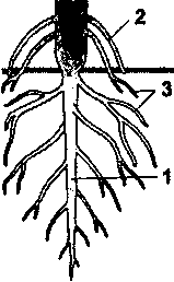 завдання а11