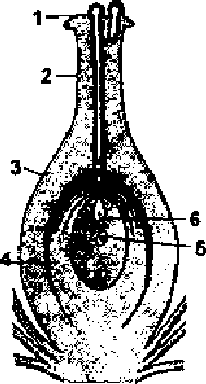 Sarcina a11