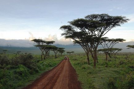 Rezervația Ngorongoro în Tanzania