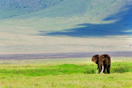 Ngorongoro Természetvédelmi Terület Tanzánia