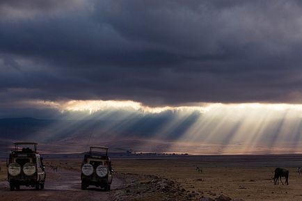 Rezervația Ngorongoro în Tanzania